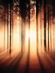 Wall Mural - serene forest landscape at sunset with sunlight filtering through tall trees, creating a mystical at