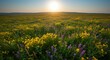 © Adobe - Sunrise over a vibrant wildflower meadow