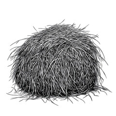Poster - Abstract black and white 3d render of a messy pile of metal wires or hay detailed texture high resolution image graphic design element for backgrounds or textures art form on transparent background