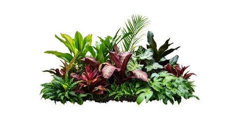 Wall Mural - lush tropical foliage arrangement. vibrant greenery and exotic leaves display isolated on transparen