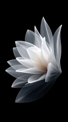 Aufkleber - An ethereal white flower blossom displays delicate petals in a stunning fractal design on a black background.