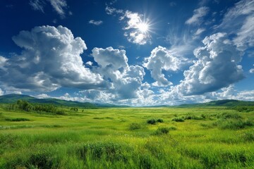 Aufkleber - Expansive green meadow under a bright blue sky filled with fluffy clouds on a sunny afternoon