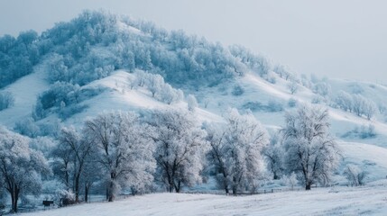 Poster - Snowy Hillside With Trees Covered in Frost, Evoking Winter Serenity and Holiday Season Wonder, Ideal for Travel and Nature Promotion : Generative AI