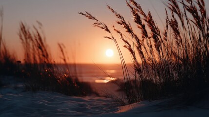 Aufkleber - Beach Grass Silhouetted Against a Sunset Sky, Evoking Coastal Serenity and Summer Vacation Vibes : Generative AI