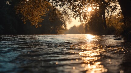 Poster - River Flowing Through Forest at Sunset, Symbolizing Natural Beauty and Environmental Conservation for Travel and Tourism Campaigns : Generative AI