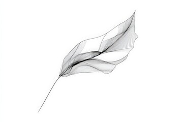 Poster - Artistic representation of a delicate leaf showcasing intricate line patterns against a minimalist background