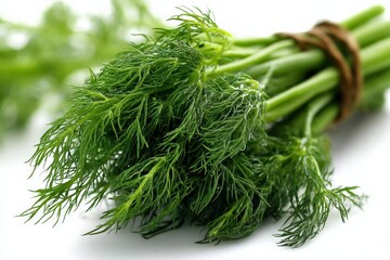 Poster - Fresh dill herb bunch suitable for culinary use in various dishes and recipes