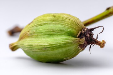 Poster - Green cardamom pod lying on a flat surface showcasing its natural texture and color