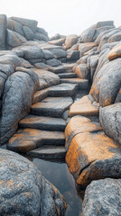 Wall Mural - Winding path through rugged rocky terrain surrounded by large boulders. A serene natural landscape evoking a sense of solitude, adventure, and exploration. Blurred background adds depth and calm.


