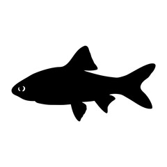 Leinwandbilder - Black fish silhouette vector illustration aquatic animal underwater sea life ocean pet design graphic art
