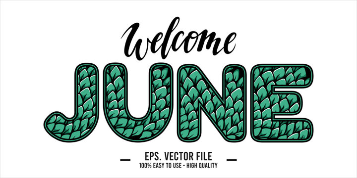 Welcome June. June mount art design vector illustration, lettering text calligraphy. 