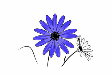 Poster - Beautiful Daisy Flower with Vibrant Purple Petals