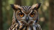 © ProtonemA - Close-up of an owl's face, set against a blurred forest background