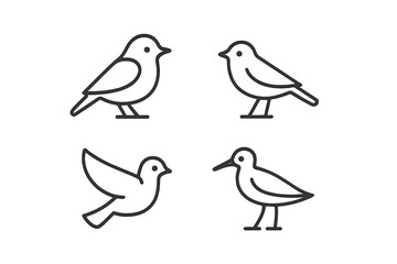 Poster - Four minimalist bird illustrations featuring various poses and styles on a clean background