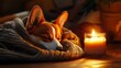 © ไชยภัทร อ่อนวันนา - A sleepy corgi resting its head on a soft plushie, dreaming