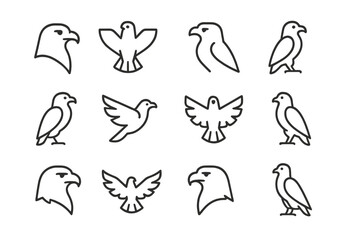 Poster - Various bird outlines displayed in a minimalistic style showcasing diverse species and forms
