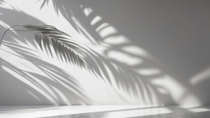 Wall Mural - gray shadowy abstract background featuring natural palm leaves on wall texture for wallpaper and bac