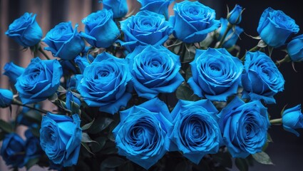 Poster - collection of gorgeous blue roses. classic blue as trend color. key trend of the year. focused selec