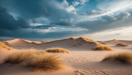Poster - scene of a sandy dune terrain adorned with grasses and shrubs under a vivid sky