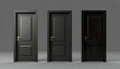 © Summer - Three black panel doors with gold handles on gray background