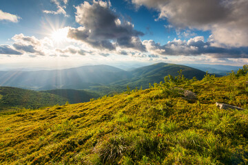 Wall Mural - carpathian mountain landscape in evening light. view in to the distant valley from lush green hills.