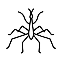 Poster - A simple graphic of a stick bug with long legs and antennae standing on a white background surface