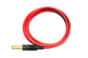 Poster - A coiled red usb cable with a gold connector on a black background in a studio setting