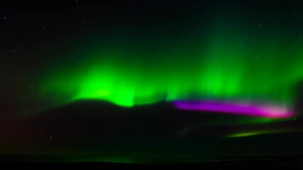 Wall Mural - Vibrant aurora borealis display shimmers in the night sky over the horizon, displaying shades of green, purple, and turquoise.