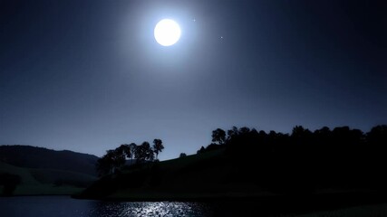 Wall Mural - Luminous full moon shines over calm dark lake and tree silhouette against the clear night sky