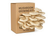 © ArtBox - Oyster mushrooms growing from cardboard box kit with transparent background