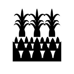 Poster - Vector illustration of black and white crops field, agriculture design, farm and harvest theme