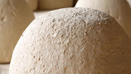 Poster - Close-up of several round, beige-colored food or pottery forms with rough textured surfaces, abstract shapes, soft lighting, neutral tones