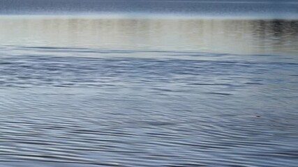Poster - Gentle ripples across calm water surface create a textured pattern with subtle light reflections and peaceful mood.