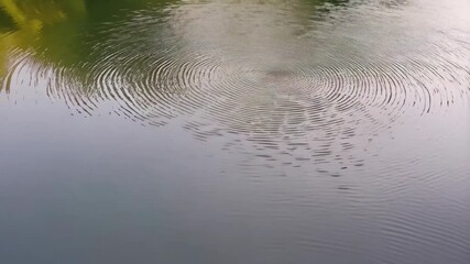 Poster - Undulating surface of pond water showing concentric wave patterns and surface reflections with forest along the edge.