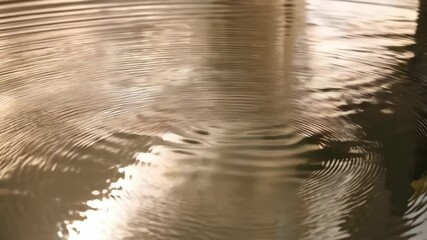 Poster - Elegant rippled water surface reflecting golden light, creating a soothing and mesmerizing visual effect, close-up shot of fluid dynamics