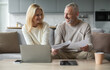 © Prostock-studio - A smiling senior couple collaborates on their laptop in a cozy living room, reviewing documents together. Their cheerful expressions show teamwork and engagement during their afternoon work session.