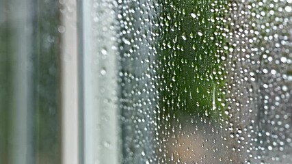 Poster - Raindrops clinging to a windowpane with blurred verdant foliage visible beyond, creating a moody and atmospheric indoor scene.