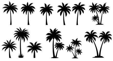 Poster - Palm Tree Silhouettes Collection: A diverse set of elegant palm tree silhouettes, perfect for adding a tropical touch to your designs. Various sizes and groupings are included for versatility.