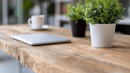 laptop and plants on rustic wooden table