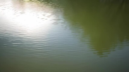 Poster - Calm river surface with gentle ripples reflecting the sky and surrounding trees, creating a peaceful and serene natural landscape