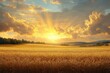 © kik - golden wheat field glowing under a dramatic sunrise with sun rays breaking through clouds and distant treeline on rolling hills
