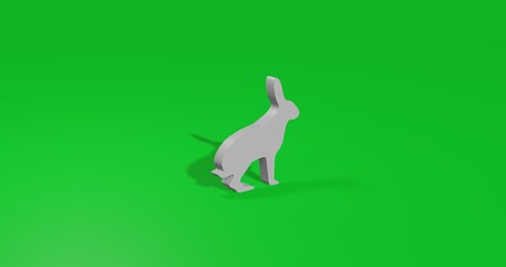 Poster - Isolated realistic white hare symbol front view with shadow. 3d illustration on green chroma key background