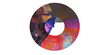 © Maestro - Textured vinyl disc showing face profile abstract, cut out transparent