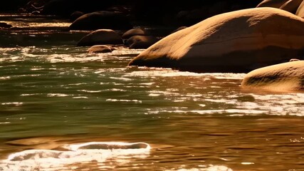 Poster - Flowing river water with shimmering light reflection and smooth rocks, creating a peaceful nature scene in warm amber color tones on a bright sunny day