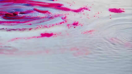 Poster - Pink and purple paint splash on rippled water surface creating abstract patterns and circular waves with light reflections artistic.