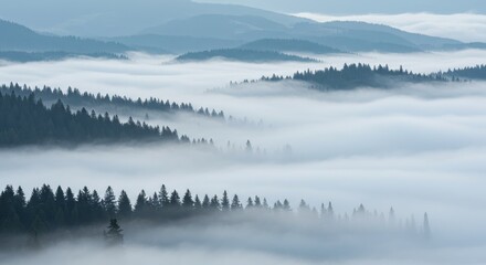  Misty Mountain Forest Landscape - Serene landscape of a misty forest in mountains. Rolling hills shrouded in fog. Peaceful nature scene