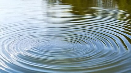 Poster - Ripples expanding in a tranquil pond. Abstract concentric circles in a body of water create a sense of peacefulness and disruption.