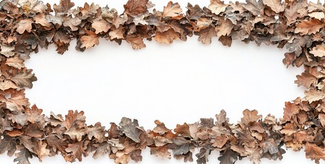 Aufkleber - Dried brown oak leaves arranged in a rectangular frame on white background.