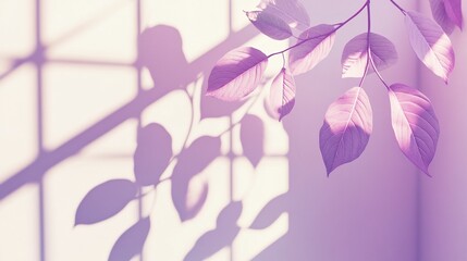 Poster - Soft light illuminates pink leaves and their shadows on a wall.