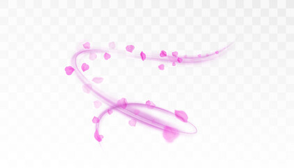 Poster - Vector swirl of flying pink petals with soft glowing light trail on transparent background. Romantic and elegant design element for greetings, cosmetics ads, wedding or beauty projects.

